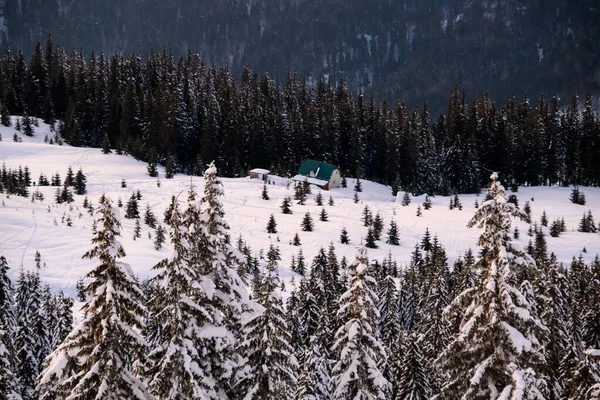 Piękny widok na pokryte śniegiem zboczu góry z wiecznie zielonych drzew i mały dom — Zdjęcie stockowe