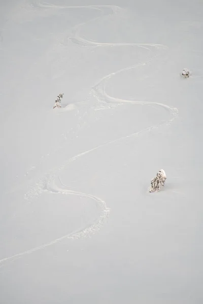 Pista di montagna con neve candida e polverosa con piste da sci freeride — Foto Stock