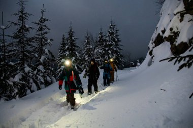 Bir grup kayakçı karlı dağda karla kaplı köknar ağaçlarının arkasında yürüyorlar.