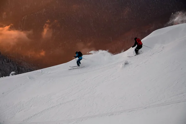 Dva freeride lyžaři sestupují z horského svahu na pozadí jehličnatých stromů — Stock fotografie
