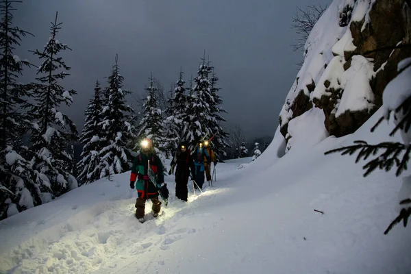 雪に覆われたモミの木を背景に、雪山の上を歩いている男性スキーヤーのグループ — ストック写真
