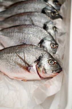 Beyaz tepside sıralanmış taze çiğ balığın yakın plan görüntüsü