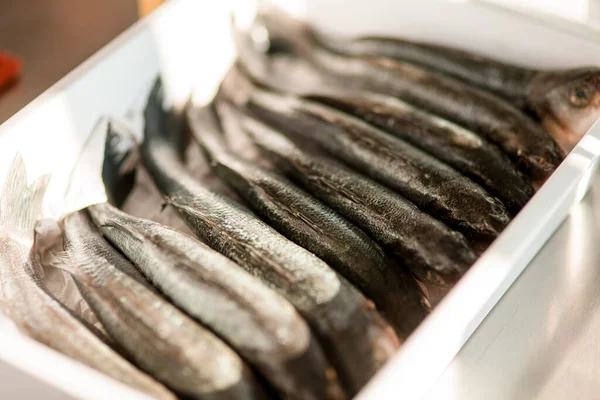 Enfoque selectivo en el pescado crudo acostado en una fila en una bandeja blanca — Foto de Stock