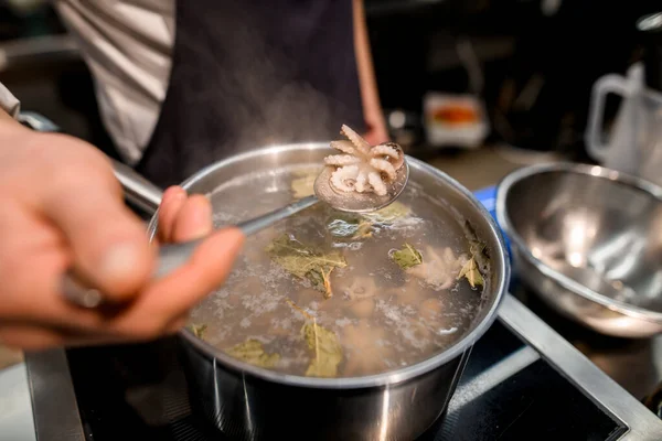 Selective focus on small boiled octopus in a spoon over pot of boiling water — Zdjęcie stockowe