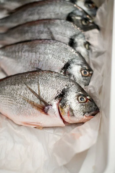 Detailní pohled na čerstvé syrové ryby ležící v řadě v bílém zásobníku — Stock fotografie