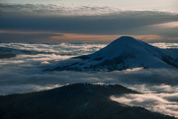 Aerial view of snow covered mountain top and picturesque winter mountain landscape with coniferous trees and fog — Stockfoto