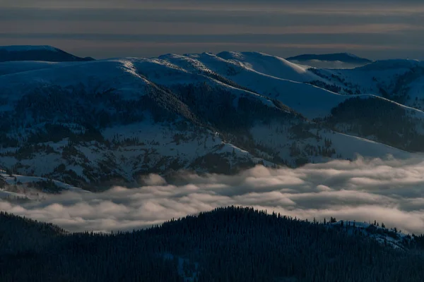 Magnificent aerial view of the hills with coniferous trees growing on them and the creeping fog around — Stock Fotó
