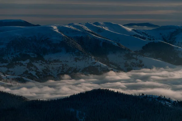 Magnificent aerial view of the hills with coniferous trees growing on them and the creeping fog around — Fotografia de Stock