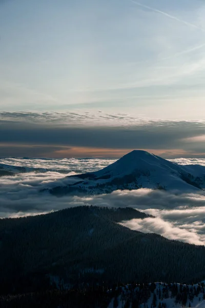 在空中俯瞰着覆盖着积雪的山顶，环抱着针叶树和雾气的风景如画的冬季山景 — 图库照片