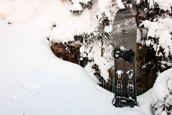 Splitboard in neve sullo sfondo di abete coperto di neve. — Foto Stock