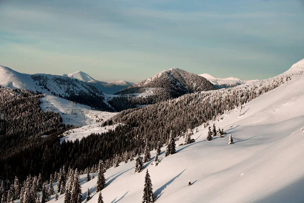 Prächtige winterliche Berglandschaft mit schneebedeckten Hügeln und Nadelbäumen — Stockfoto