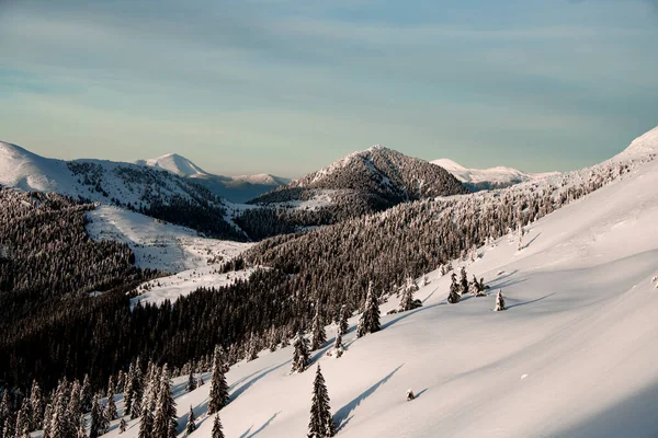 Magnificent winter mountain landscape with snow-capped hills and conifers — Stockfoto