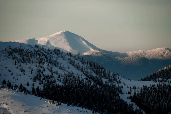 Beautiful winter mountain landscape with snow-capped hills and conifers — Fotografia de Stock