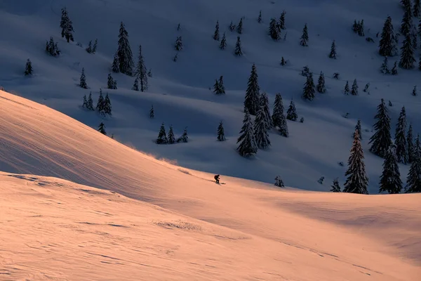 Vacker utsikt över sluttningen täckt med träd och friåkare skidåkare glider ner — Stockfoto