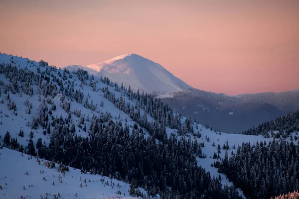 Erstaunliche winterliche Berglandschaft mit schneebedeckten Hügeln und Nadelbäumen und hellem Abendhimmel — Stockfoto