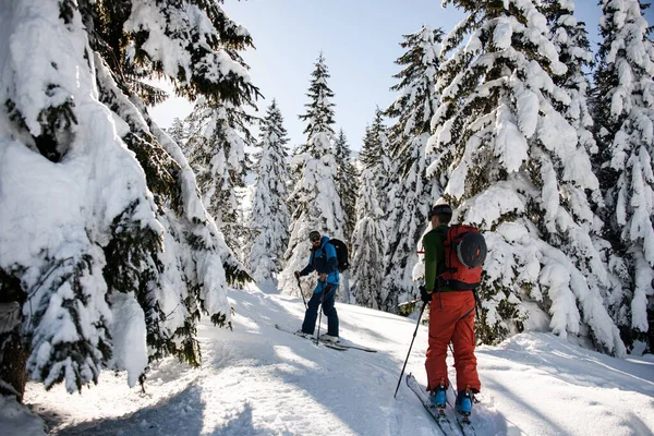 男人们带着滑雪器材走在雪地覆盖的冷杉树间的雪地小径上 — 图库照片