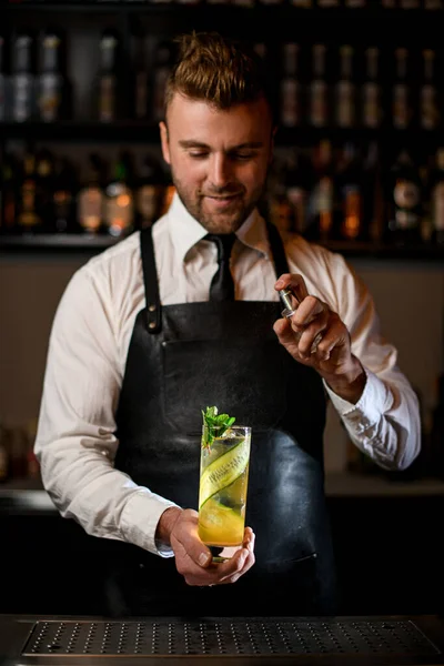 Barman sostiene suavemente y rocía un vaso de cóctel frío decorado con ramitas de menta y rayas de pepino —  Fotos de Stock