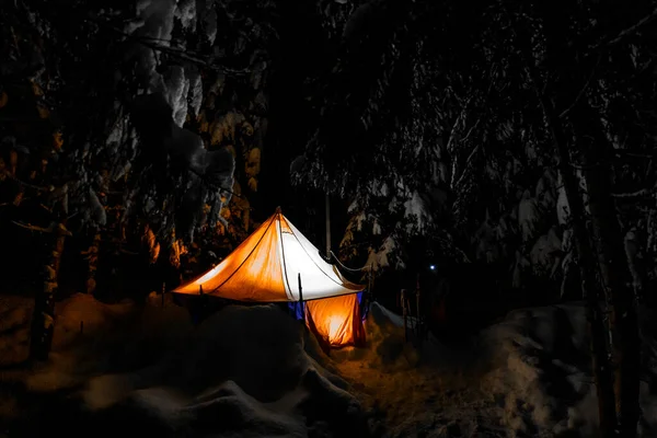 View of camping tent with illumination in a winter pine forest — Stock Photo, Image