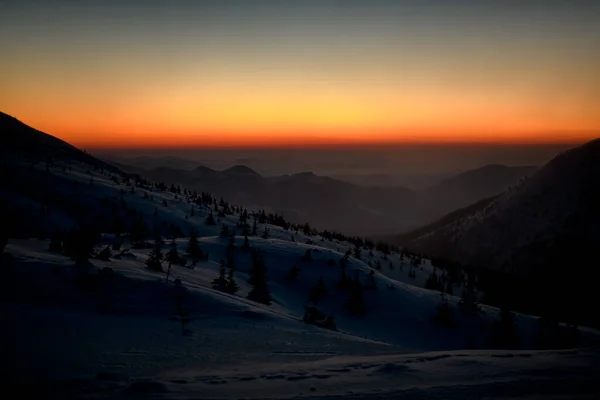 Pentes de montagne enneigées impressionnantes avec des arbres contre le ciel coloré lumineux — Photo