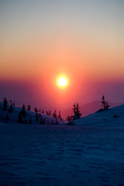 Amazing view of colorful sky with sun and snow-covered mountain slopes with trees — Fotografia de Stock