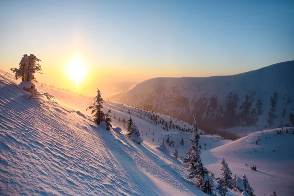 Magnifiques pentes de montagne enneigées avec des arbres contre le ciel et le soleil — Photo