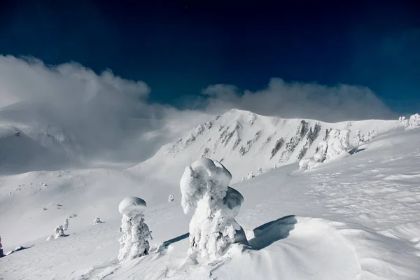 Wonderful view on mountain slopes covered with white powder snow and blue sky — стоковое фото