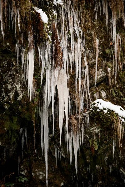 Ghiaccioli invernali appesi a una scogliera. Fila di ghiacciolo ghiacciato natura. — Foto Stock