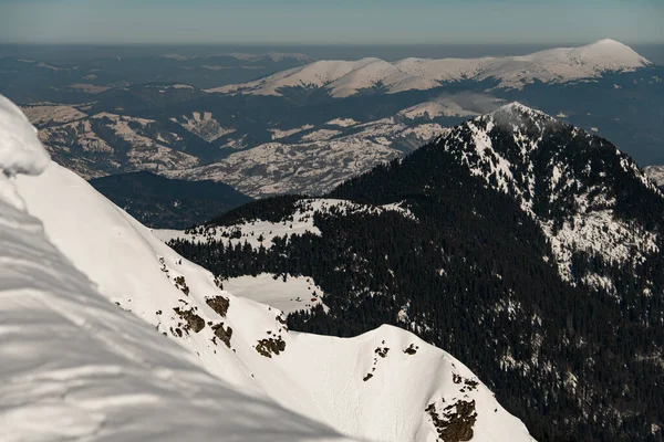 Karla kaplı dağ manzarası ve köknar ağaçları.