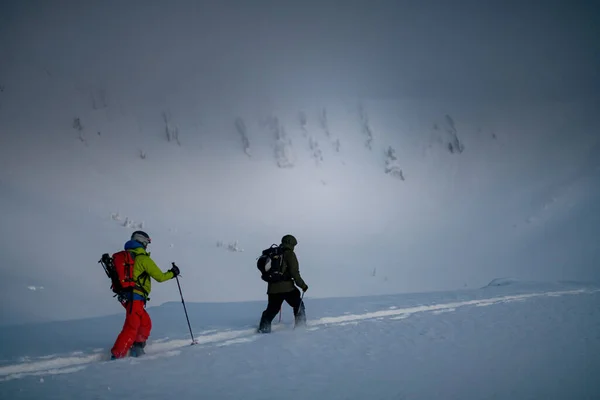 Tourists going on ski tour in winter mountains on background of snowy mountain slope — стоковое фото