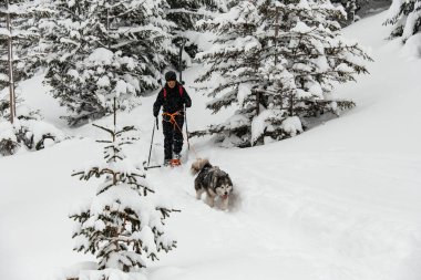 Gözlüklü ve miğferli kayakçı kayaklarını omuzlarında ve kayak direklerinde taşır..