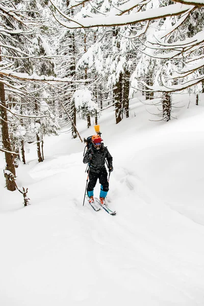 Лыжник в очках, шлеме и лыжном костюме, прогулка на лыжах в глубоком снегу вдоль заснеженных елок — стоковое фото