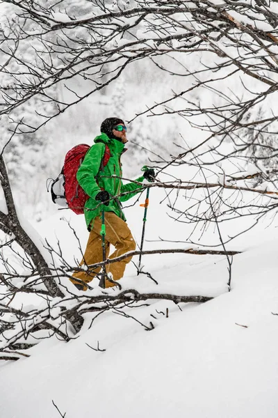 Skier in goggles, windproof clothes, backpack and ski poles in hands walking along snow-covered trees — ストック写真