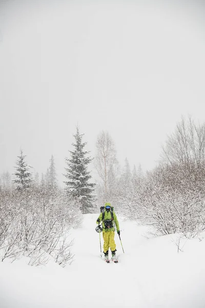 Male skier in green and yellow ski suit walking along fir trees in snow-covered meadow — стоковое фото