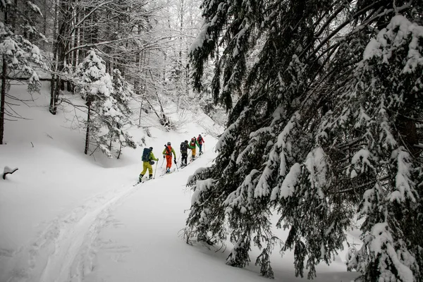 Группа лыжников в ярких костюмах с лыжным снаряжением прогуливается по тропе в снежном зимнем лесу — стоковое фото