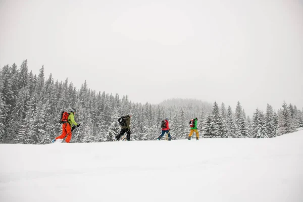 Four male skier tourists with backpacks hiking on skis in deep snow uphill through mountain forest — ストック写真