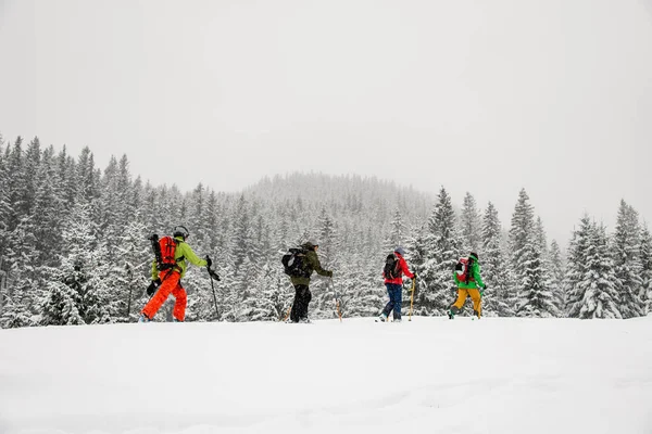 Four travelers, male skier tourists with backpacks hiking on skis in deep snow uphill through mountain forest — стоковое фото