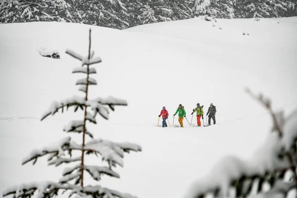 Three travelers, male skier tourists with backpacks hiking on skis in deep snow uphill through mountain forest on sunny cold winter day. — Stock Photo, Image