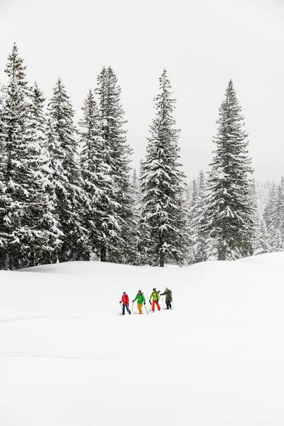 Four travelers, male skier tourists with backpacks hiking on skis in deep snow downhill on winter forest background — ストック写真