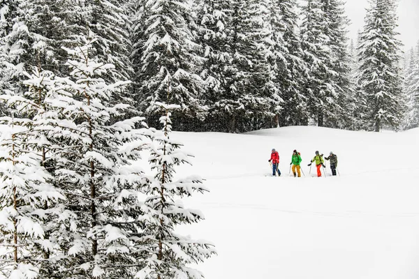 Four young travelers, , male skier tourists with backpacks hiking on skis in deep snow in mountains — Stock Photo, Image