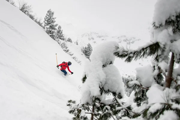 Freeride narciarz mistrzowsko zjeżdża ze wzgórza z wybuchem śniegu w proszku. — Zdjęcie stockowe