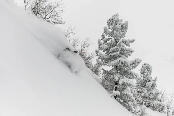 Extreme skier skiing in the snow in the pine and spruce forest — Fotografia de Stock