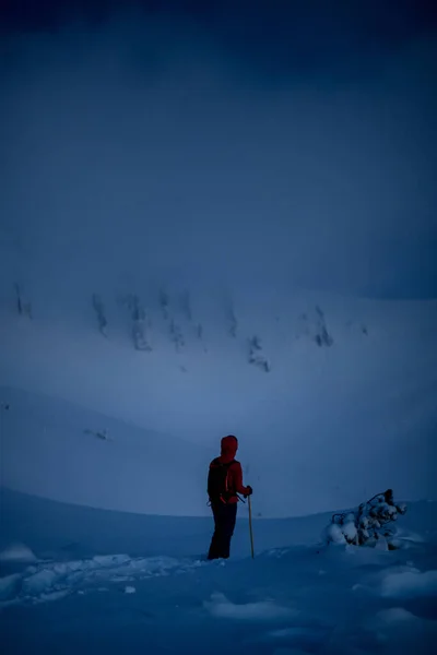穿着鲜艳西服的滑雪者向前看被雪覆盖的树木和山峰 — 图库照片