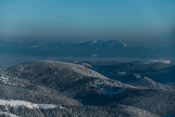 Bela paisagem de picos de montanha com abetos cobertos de neve. — Fotografia de Stock