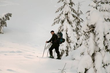 Kayakçının tepenin yarık tahtasına tırmanması manzarası. Dağlarda kayak turu.