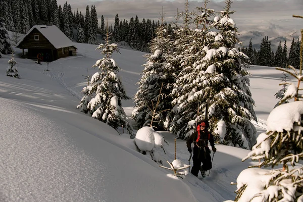 Aktywny narciarz wspina się po wzgórzu na desce rozdzielczej. Turystyka narciarska w górach. — Zdjęcie stockowe