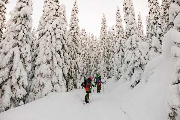 Narciarze wspinają się na wzgórze. Śnieg i zima, wycieczki narciarskie w górach. — Zdjęcie stockowe