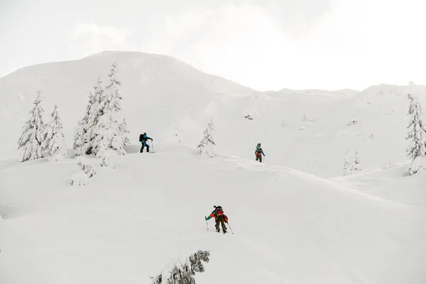 Grupa turystów z deskami rozdzielczymi spaceruje po śniegu, skrajnym wzniesieniu i nartach. — Zdjęcie stockowe