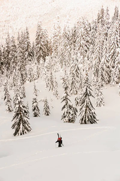 Vinterlandskap av snötäckta berg med granar och vandrande skidåkare — Stockfoto