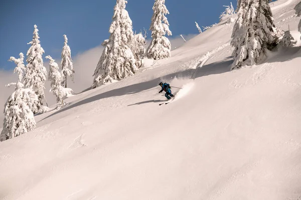 Skier descending down the snowy hill on splitboard and shredding powder snow. — ストック写真