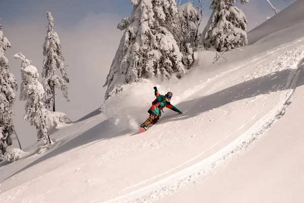 Genç snowboardcu, parlak rengarenk giyinmiş, her tarafı karla kaplı.